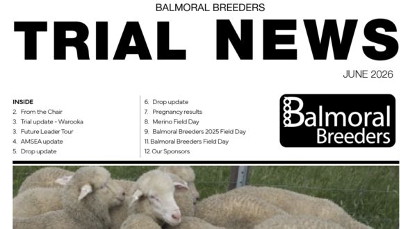Newsletters